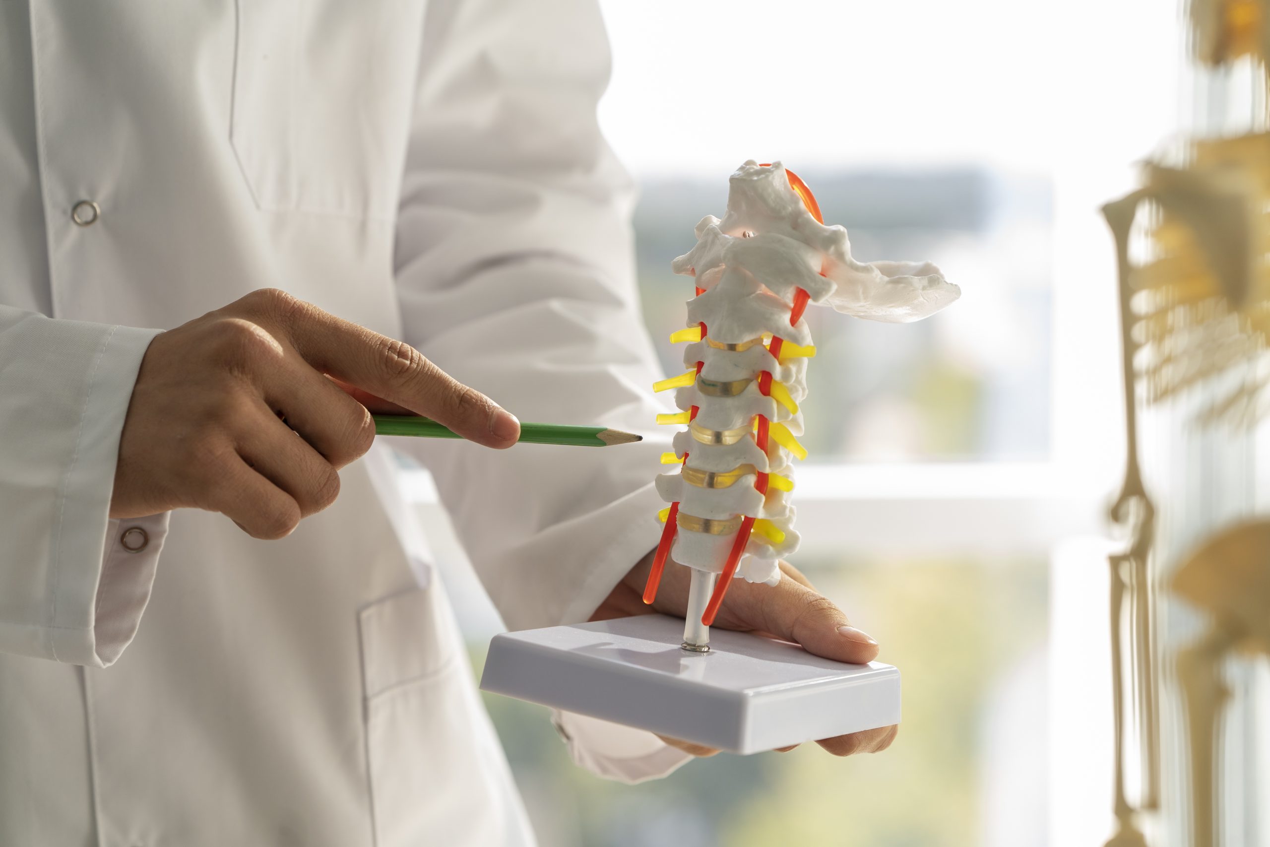 Osteoarthritis of Spine and Joints